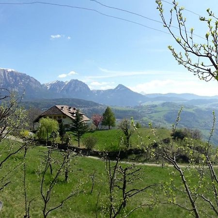 Birbamergut Longostagno Luaran gambar