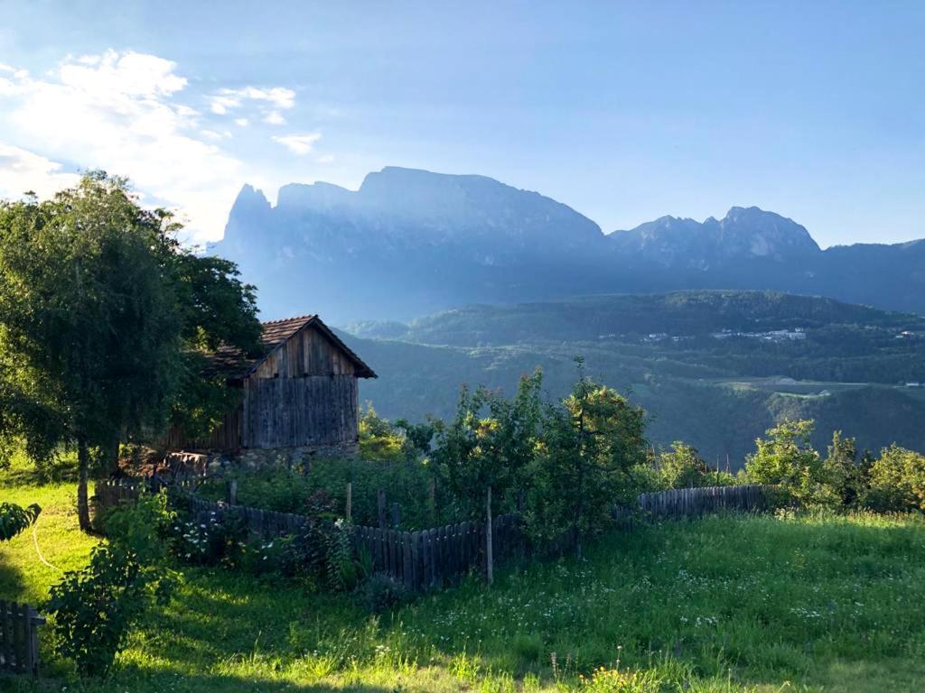 Birbamergut Longostagno Luaran gambar