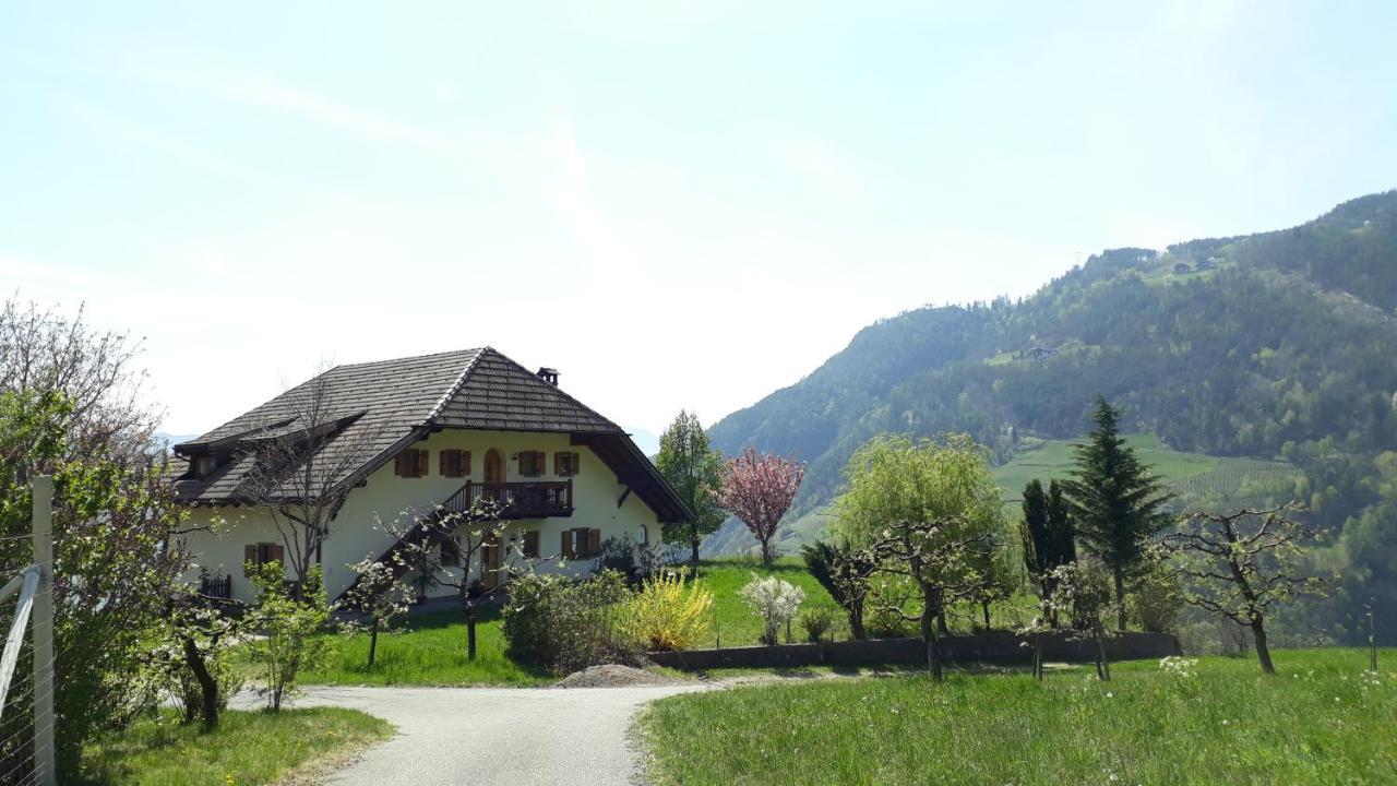 Birbamergut Longostagno Luaran gambar