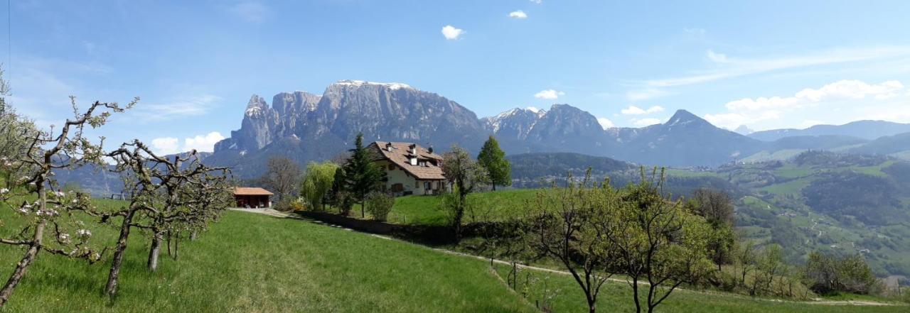 Birbamergut Longostagno Luaran gambar