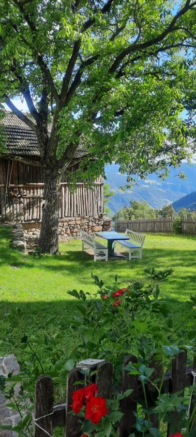 Birbamergut Longostagno Luaran gambar